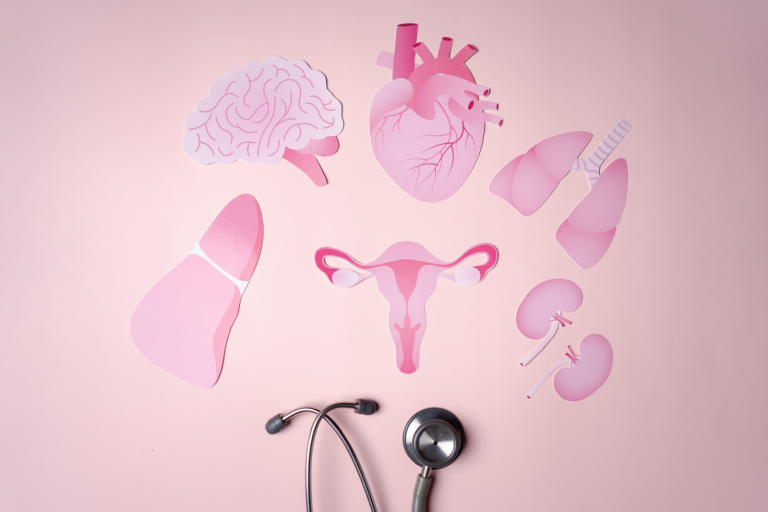 Comprendre et Optimiser Son Cycle Menstruel : Un Guide pour Mieux Vivre au Quotidien